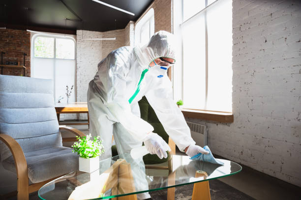 Why You Should Choose Our Mold Remediation Services in Berkeley, CA